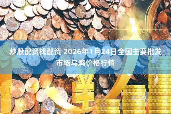 炒股配資找配資 2026年1月24日全國主要批發市場烏雞價格行情